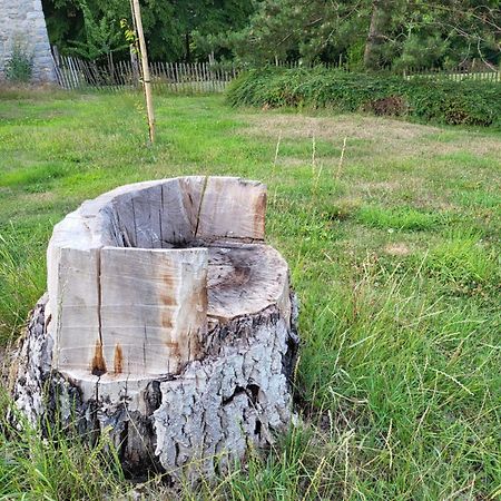 A La Salle De Jeux Et Son Jardin Autour De La Cabane Verte Dinant Exterior foto